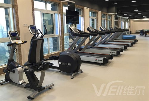 四川体育用品价格服务放心可靠 维尔健身器材专卖店
